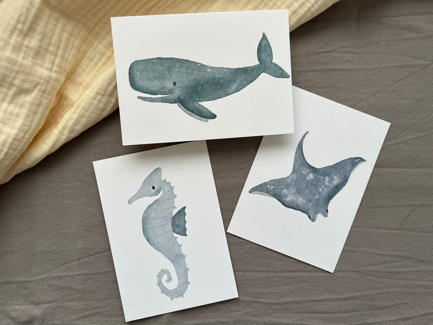 Postkarten-Set Meerestiere 🌊
